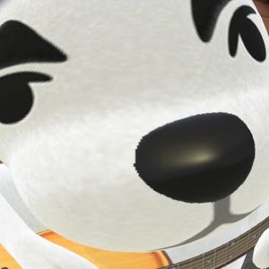 Meet your Posher, Savannah